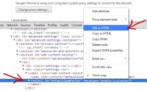 Google Chrome settings. Edit HTML for page zoom option