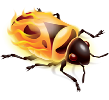 firebug